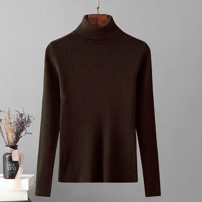 Skinny Elastic Basic Turtleneck Knit  Warm Soft Pullovers Full